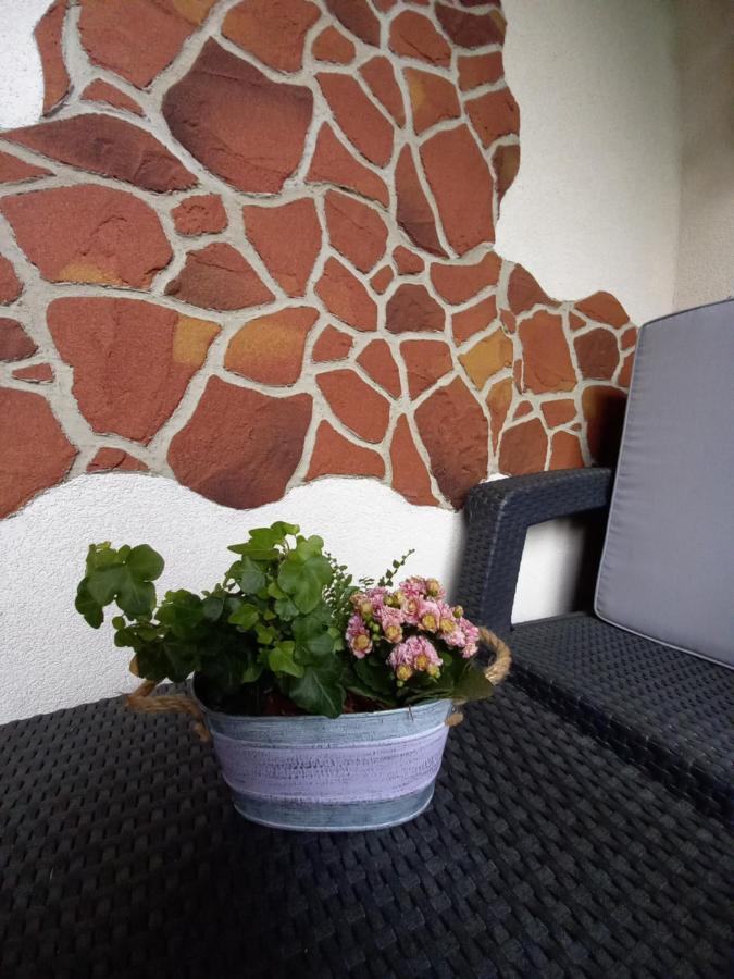 Apartman Erika - Bešeňová Exterior foto